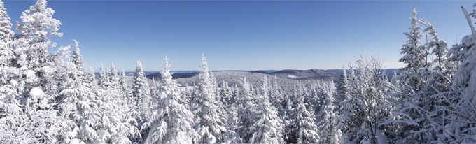 photo panoramique de l'hiver quÃ©bÃ©cois