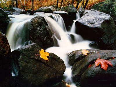 Rivière d'automne au Canada