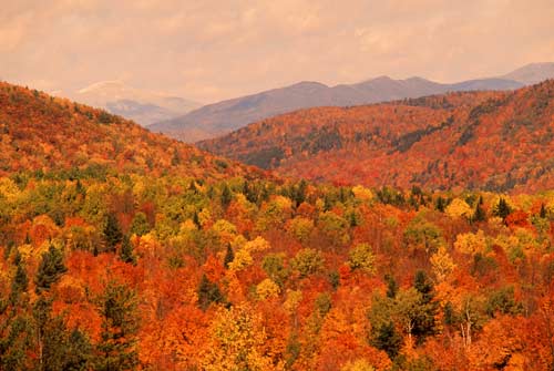 Résultats de recherche d'images pour « image automne québec »