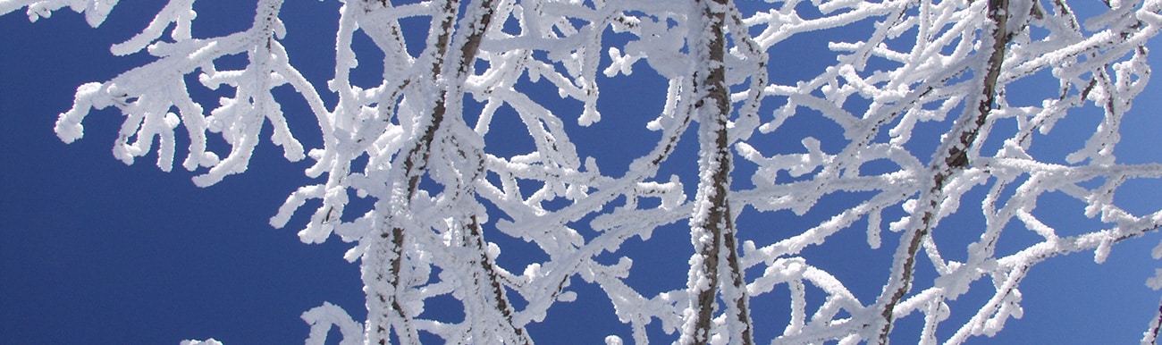 nature quebecoise sous la neige