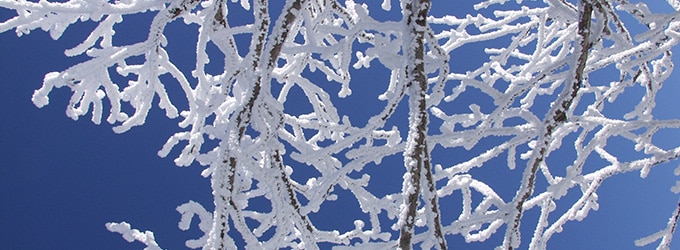 nature quebecoise sous la neige