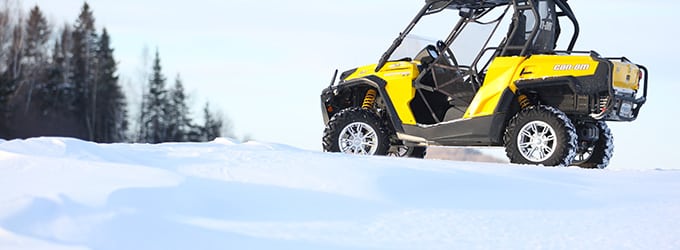 decouvrir quebec en buggy