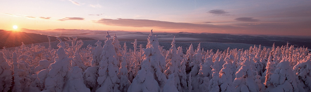 comment voyager au canada