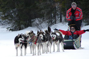 Traineau à chien en famille