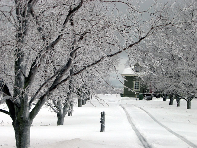 Quebec en hiver