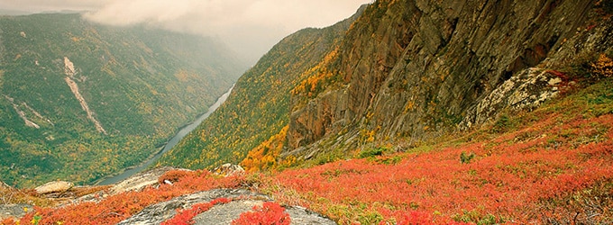 sejour parc nationaux quebec