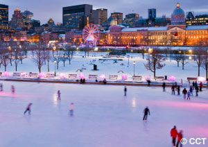 Parc en hiver a Montreal