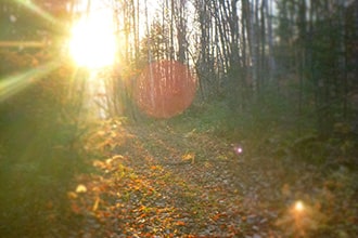 automne nouveau monde