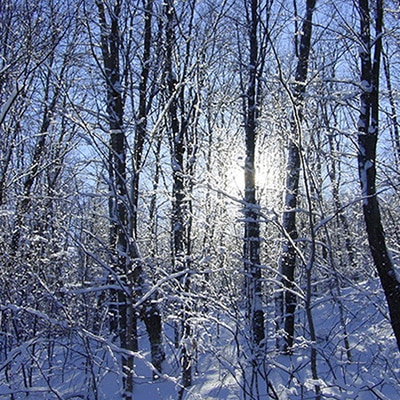 C'est l'hiver au Canada en motoneige