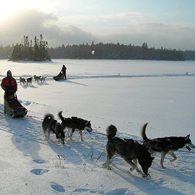 traineau chien canada