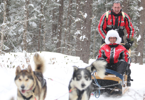 traineau a chien au canada