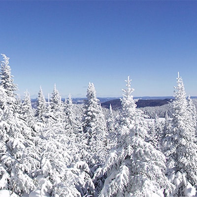 voyage quebec