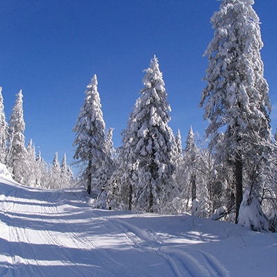 hiver canadien