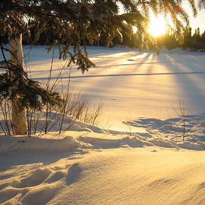 hiver canadien