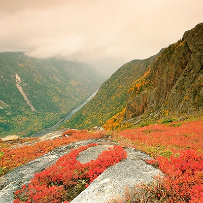 parc quebec hautes gorges malbaie