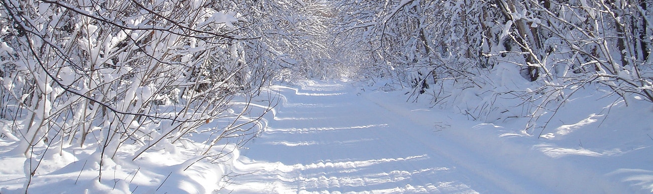 sentier de motoneige