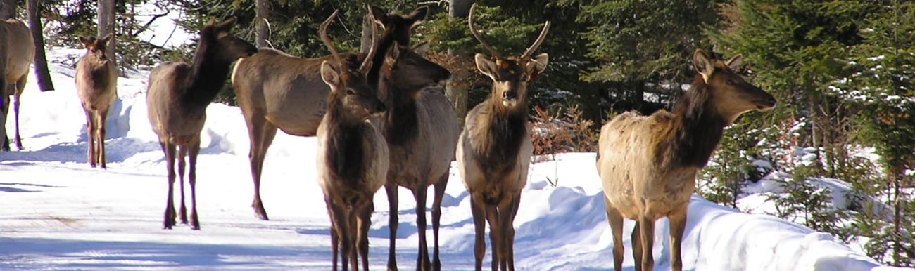 parc omega