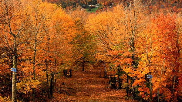 mont sutton automne