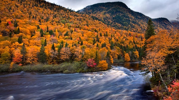 parc national de la Jacques-Cartier automne