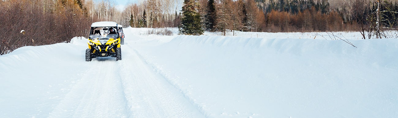 sentier buggy hiver