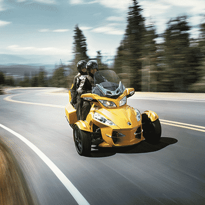 spyder dans les foret au canada