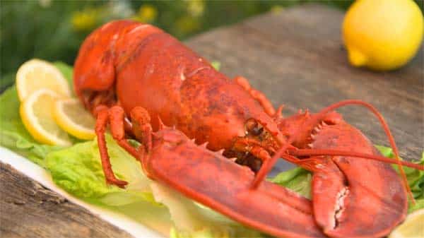 souper de homard