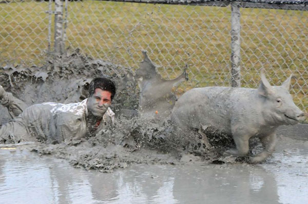 Festival du cochon