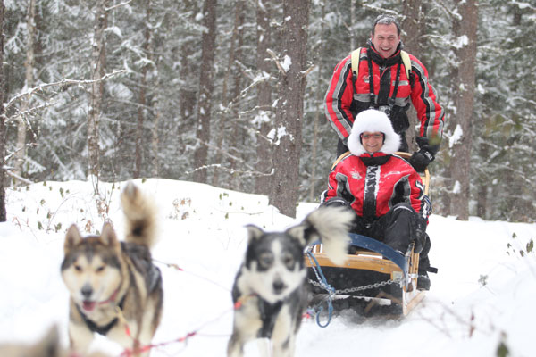 randonnée en traineau a chien