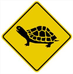 signalisation routière tortue canada