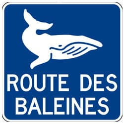 signalisation routière route des baleines canada