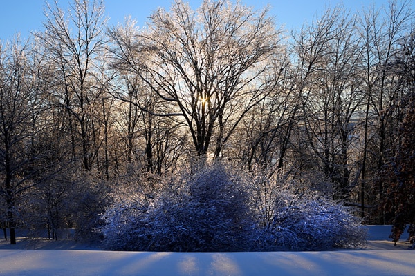 paysage hiver québec