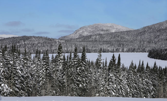 paysage hiver québécois