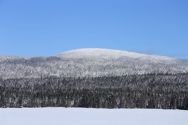 lac et montagne hiver