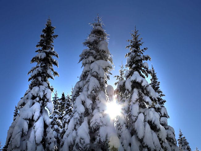 paysage hiver québécois