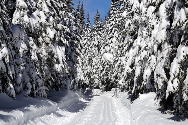 ski de fond camp mercier