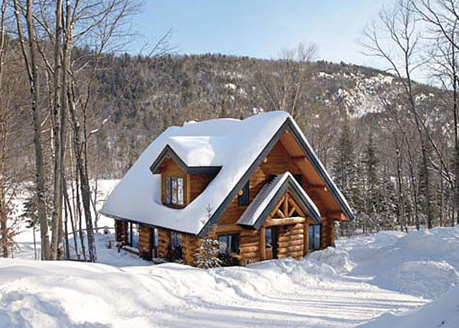 Chalet en bois rond canada