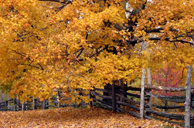 quebec en automne