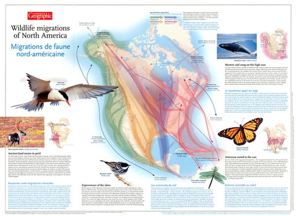 carte migration au canada