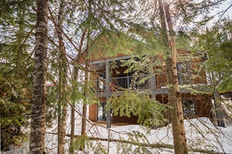 chalet en foret lac taureau