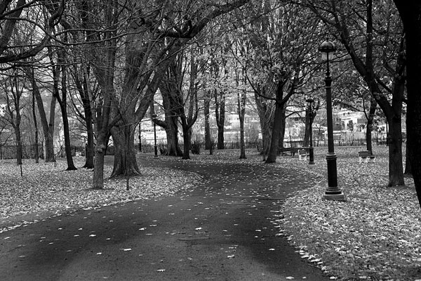 photo noir et blanc automne