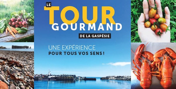 tour gourmand gaspésie