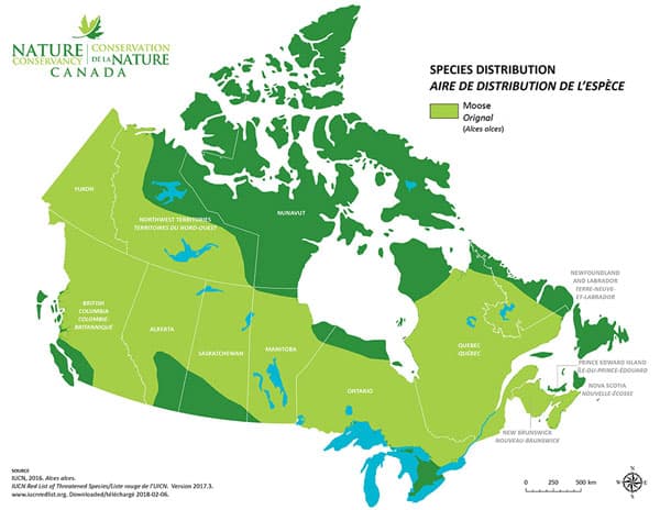 Habitat orignal canada