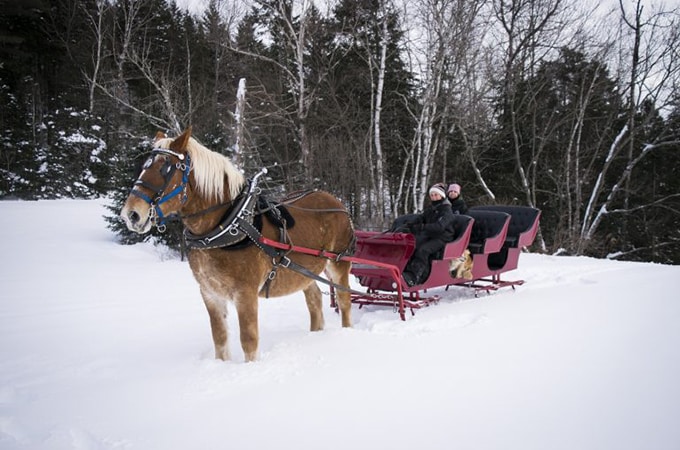 caleche sur ski st-raymond