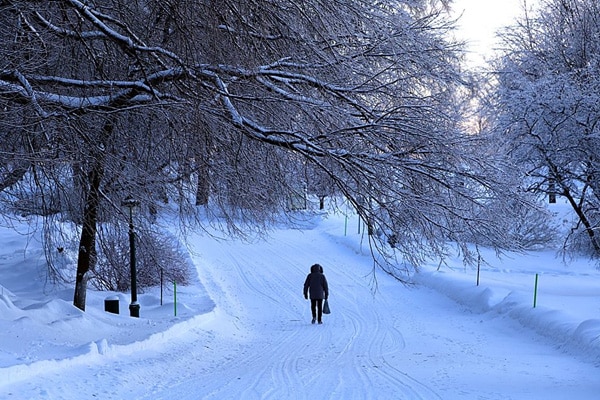 plaine Abraham hiver