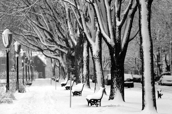 ville de quebec hiver