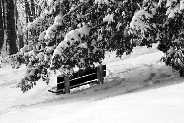 plaines d'Abraham hiver
