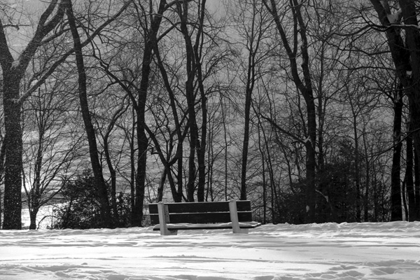 banc plaines d'Abraham