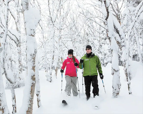 ski hok québec