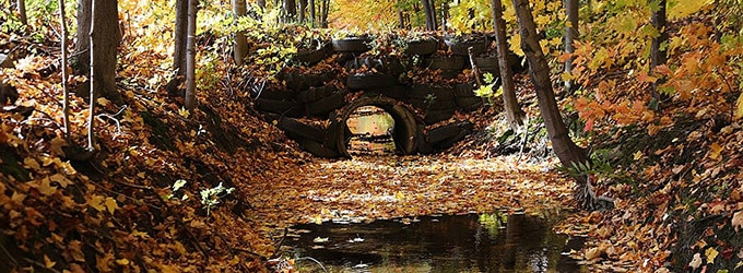 prendre en photos les couleurs du quebec