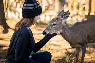 soin animaux